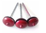 Umbrella Head Galvanized Steel Roofing Nails - Image 4
